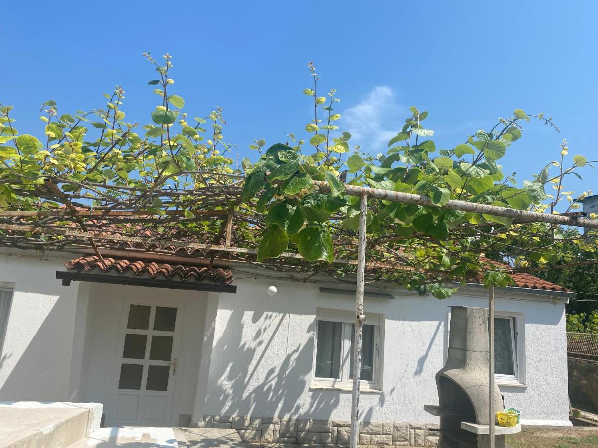 Apartman Nela Apartment Porec Exterior photo